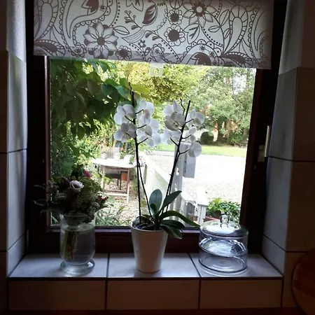 Weitblick Appartamento