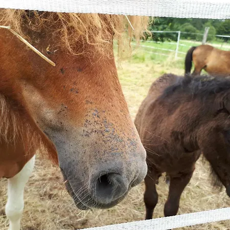 Weitblick * 볼프샤겐