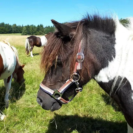 Апартаменты Weitblick