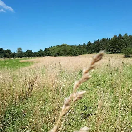 Weitblick
