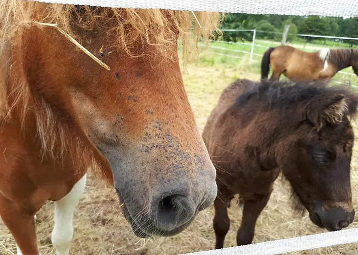 Weitblick * Wolfshagen (Lower-Saxony)