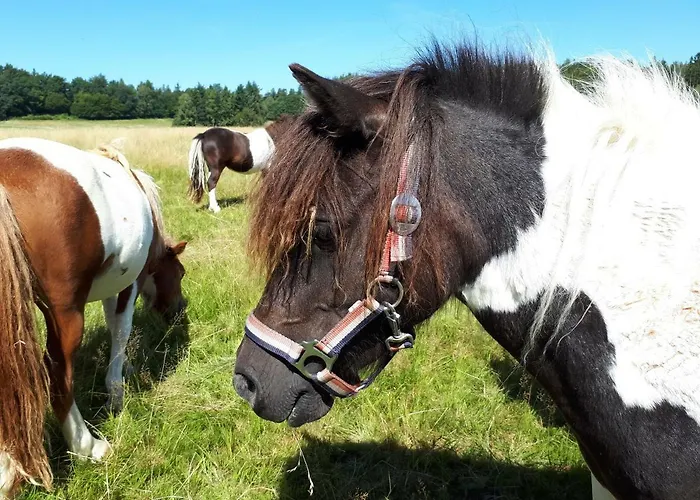 Апартаменты Weitblick