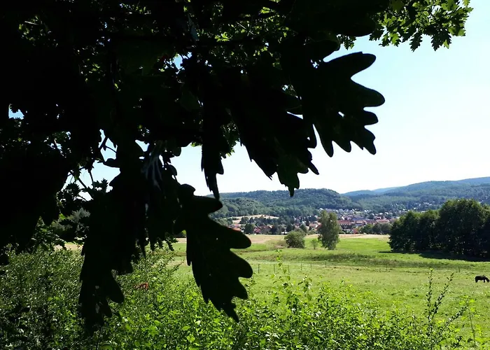 Weitblick Апартаменты Wolfshagen (Lower-Saxony)